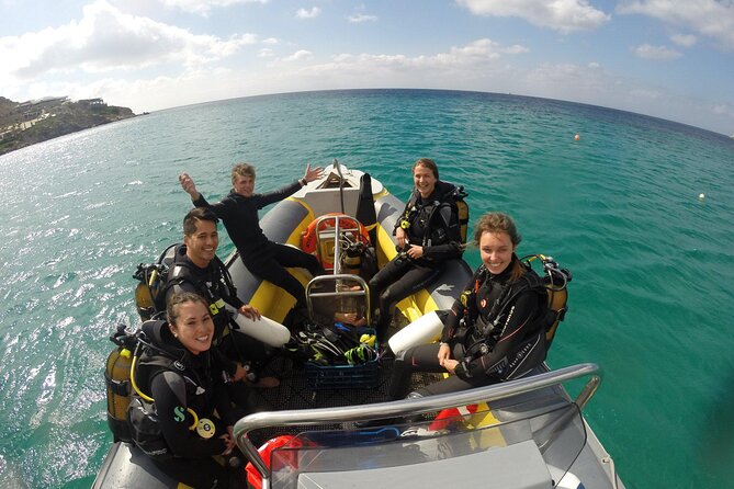 Qualified Diver 1 Tank Dive in Mykonos - What you’ll see under the surface: Aegean life in focus