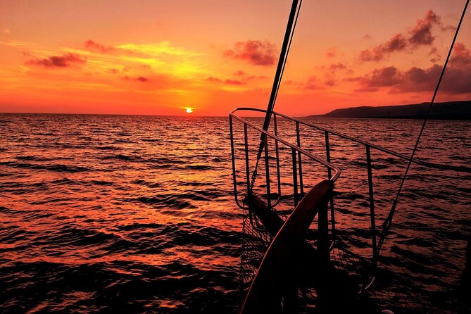 Queen Bee Sunset Cruise with Swim Stops and Dinner - Who this cruise is best for, and who might prefer something else