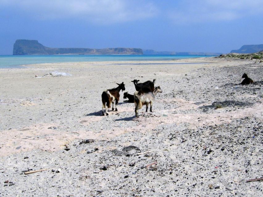 Rethymno: Gramvousa & Balos Lagoon Day Trip with Boat Ticket - Key things I’d watch for on this Gramvousa and Balos day trip