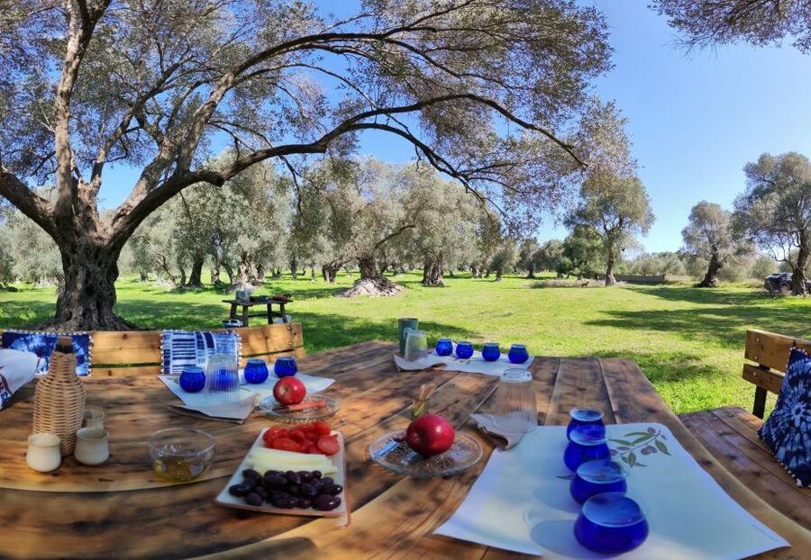 Rethymno: Olive Oil Tasting with Cretan Food Pairing - Practical Tips That Make This Tour Easier