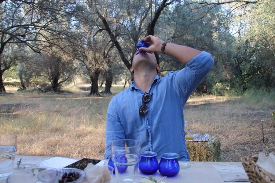 Rethymno: Olive Oil Tasting with Cretan Food Pairing - How Olive Oil Tasting Works: Four Samples and a Simple Method