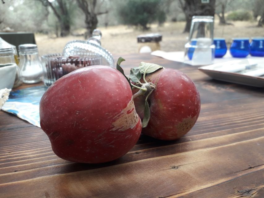 Rethymno: Olive Oil Tasting with Cretan Food Pairing - Price and Value: Is $107 for Three Hours Worth It?