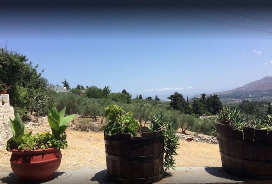 Rethymno: Private Winery & Olive Oil Tasting Tour with Lunch - Why This Is A Strong Rethymno Half-Day Plan