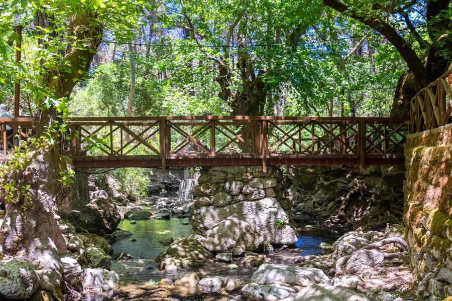 Rhodes: Butterfly Valley and Seven Springs Valley Day Trip - The Drive to Epta Piges: East Coast Countryside Time