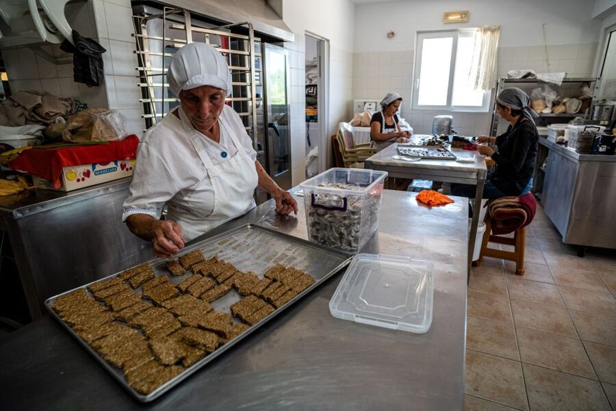 Rhodes: Cooking Lesson and Wine Tasting with Lunch - The cooking lesson in Apollona: tzatziki, eggplant salad, and more