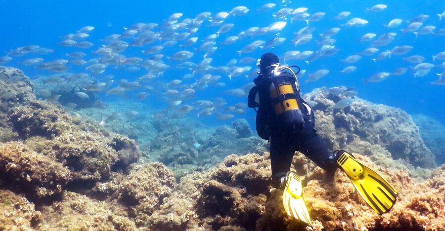 Rhodes: Diving Adventure for Beginners and Experts - Key Things I’d Highlight Before You Go
