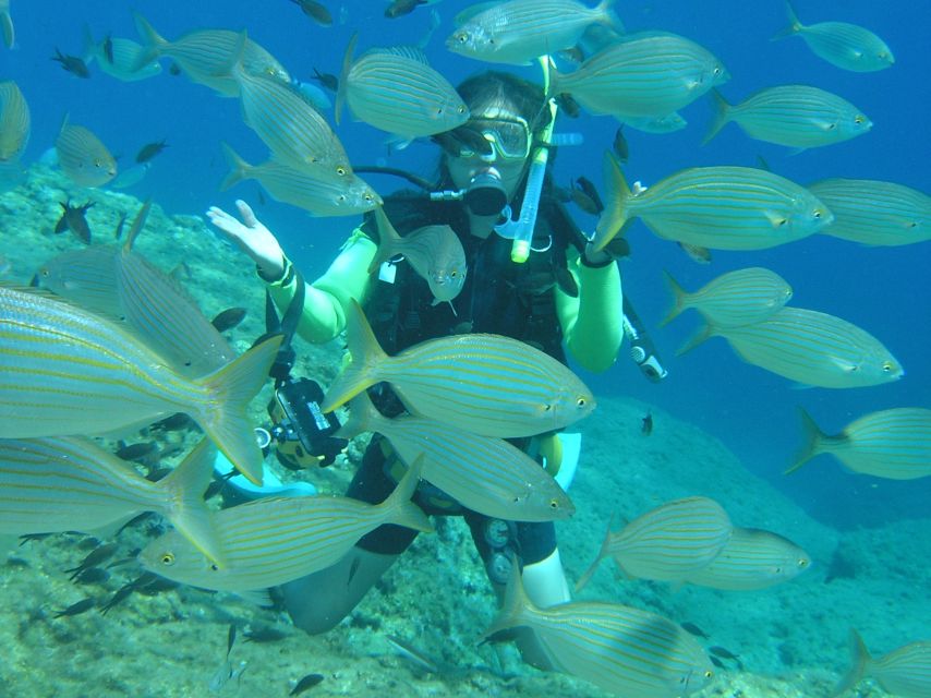 Rhodes: Diving Adventure for Beginners and Experts - Kalithea in a Small Group, Up to 6 People