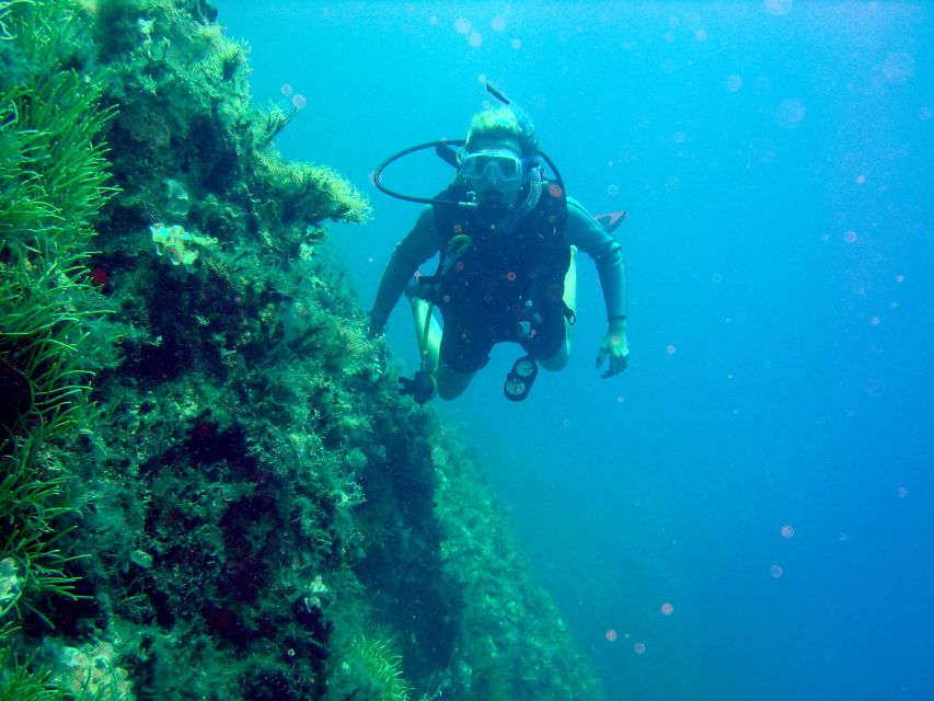 Rhodes: Diving Adventure for Beginners and Experts - Your Rhodes Day Schedule, Transfers and the Kalithea Block