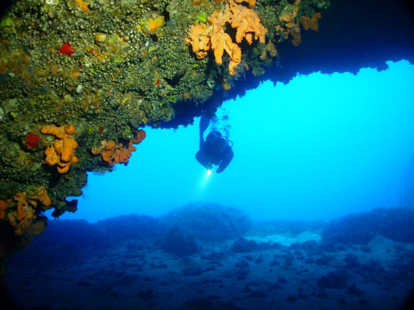 Rhodes: Diving Adventure for Beginners and Experts - Boat vs Shore Options, Low Season Rules, and Comfort Planning