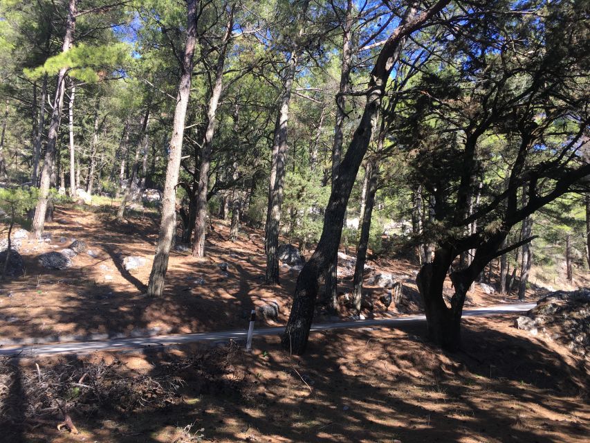 Rhodes: Full–Day 4WD Northern Safari Tour - Kritinia Village Lunch Under Plane Trees, Traditional Food and Wine