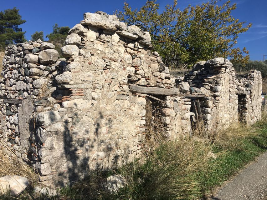 Rhodes: Full–Day 4WD Northern Safari Tour - Guides, Safety Feel, and Why Private Group Changes the Day