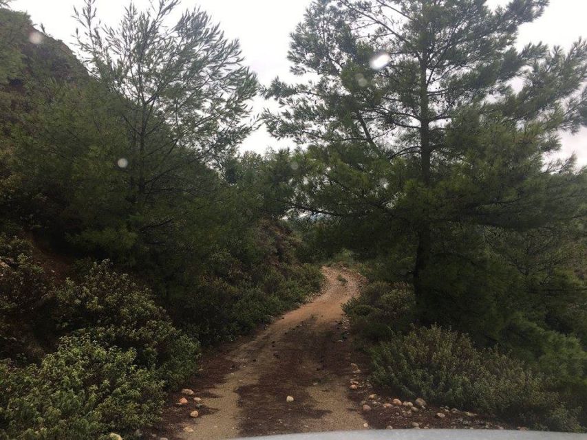 Rhodes: Full–Day 4WD Northern Safari Tour - Price and Value at About $135, What Makes It Worth It
