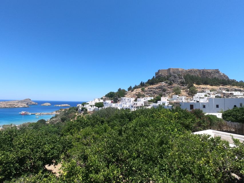 Rhodes: High Speed Boat Trip to Lindos - Getting to the Acropolis in Lindos: donkey or your own legs