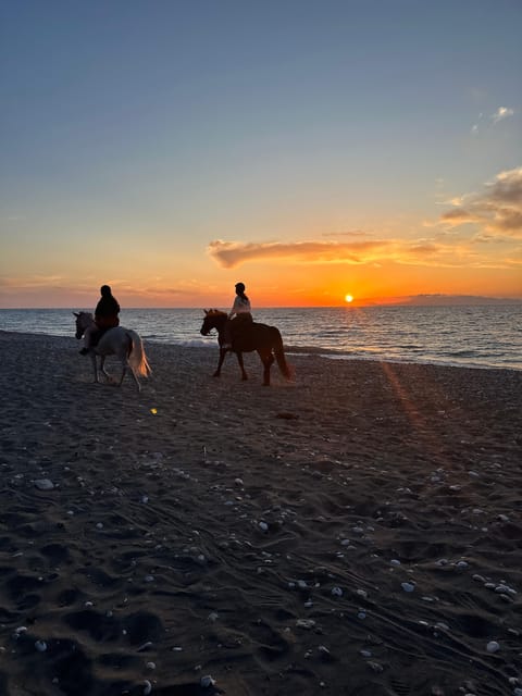 Rhodes: Horseback Riding Trip with Digital Photos - Choosing Morning Countryside or Beach Sunset in Rhodes