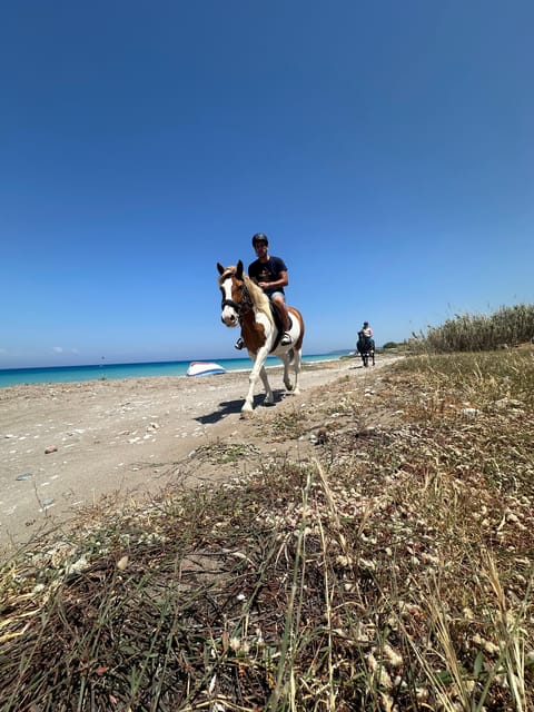 Rhodes: Horseback Riding Trip with Digital Photos - The 75-Minute Ride Through Olive Trees and Nature Trails