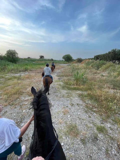 Rhodes: Horseback Riding Trip with Digital Photos - Price and Value: Is $90 Worth 75 Minutes?