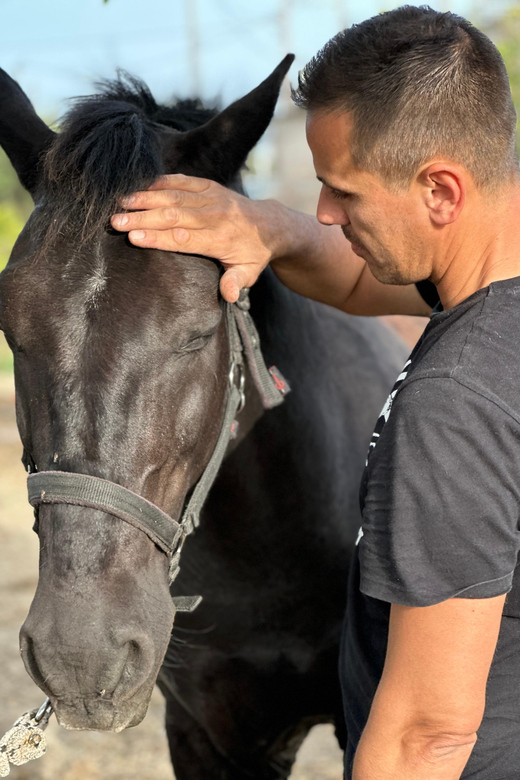 Rhodes: Horseback Riding Trip with Digital Photos - Who Should Book This Horseback Ride (And Who Should Skip It)