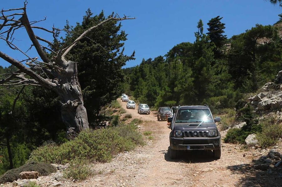 Rhodes: Self-Drive 4x4 Safari Tour with North Pickup - Self-Drive 4x4 Safari in Rhodes: the point is control and big viewpoints