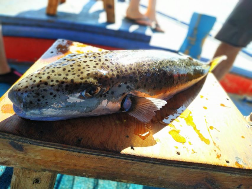 Rhodes Town: Fishing Boat Trip with Fish Meal and Swim Stops - Key takeaways before you go