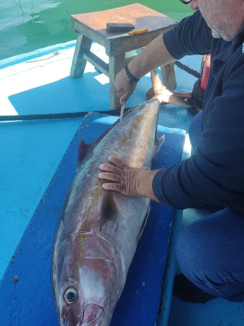 Rhodes Town: Fishing Boat Trip with Fish Meal and Swim Stops - Fishing lessons that actually help