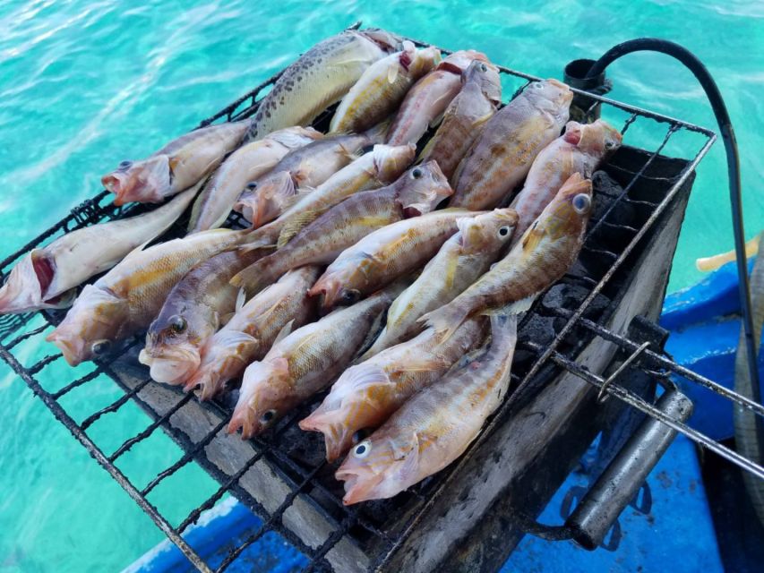 Rhodes Town: Fishing Boat Trip with Fish Meal and Swim Stops - Swim stop and snorkeling in a secluded cove
