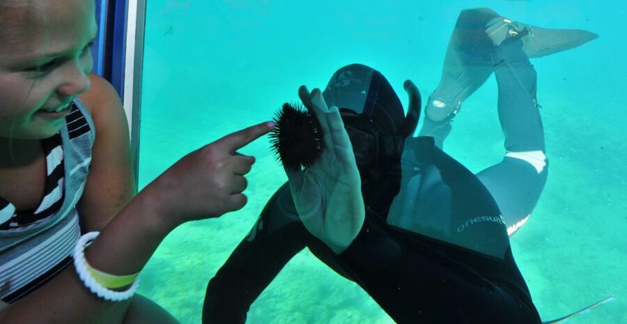 Rhodes Town: Yellow Submarine Cruise with Underwater Views - Rhodes Bay underwater views: 22 windows and a fish-feeding show