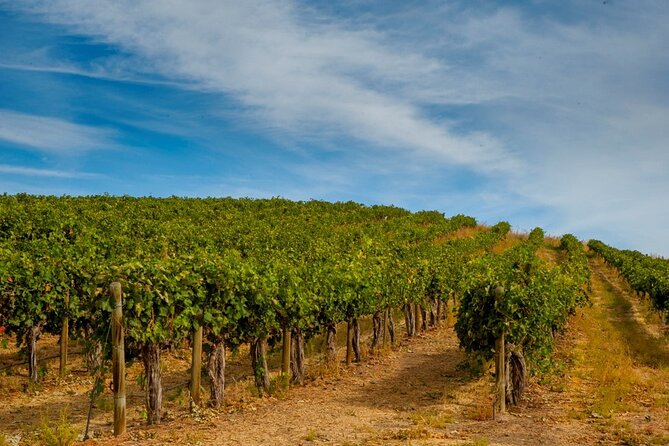 Rhodes Wine & Food Tour: 10 Meal Course Lunch, Wine Tasting, Cooking Class - The 10-course lunch: Aegean mezze energy, not a steakhouse feast