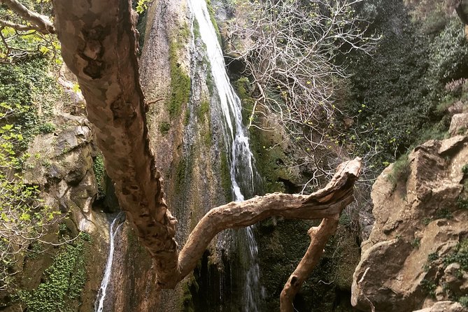 Richtis Waterfall, History, Azoria, OliveTasting, NorthCoast - Quick takeaways for Richtis Gorge, Azoria, and olive oil tasting