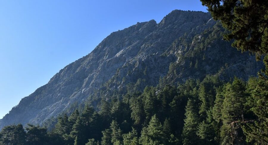 Samariá Gorge Hike: Day Excursion from Chania - Key Things to Know Before You Go