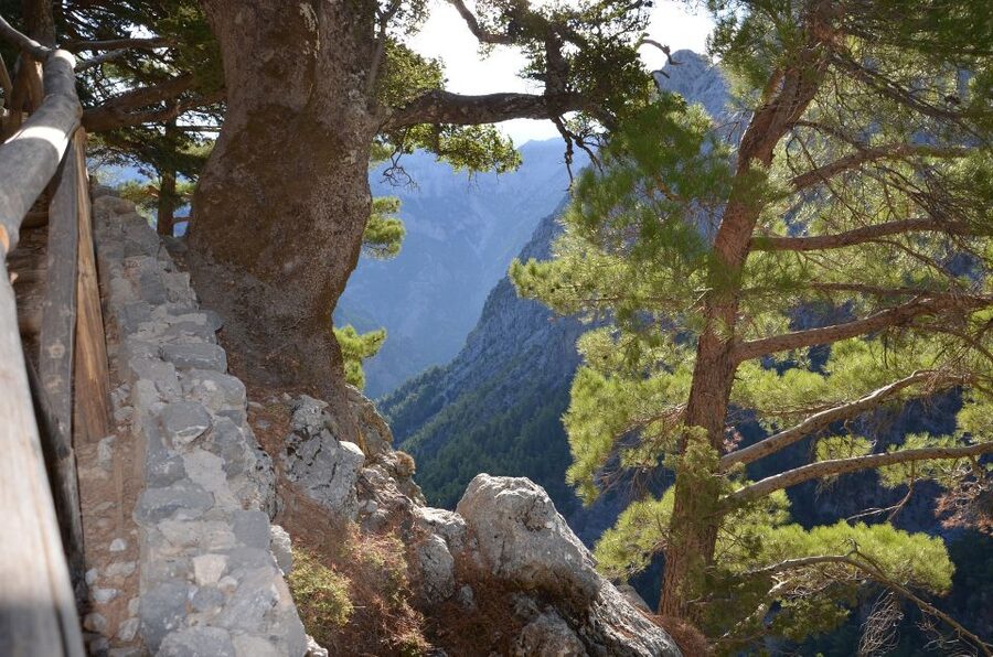 Samariá Gorge Hike: Day Excursion from Chania - Samariá Gorge From Chania: Worth the Long Day
