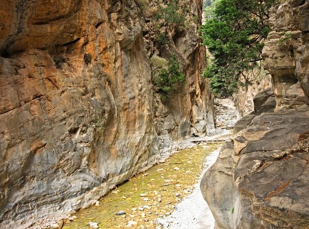 Samaria Gorge Hiking from Chania with Professional Hiking Guide - Agia Roumeli finish: beach reward, then ferry and bus back