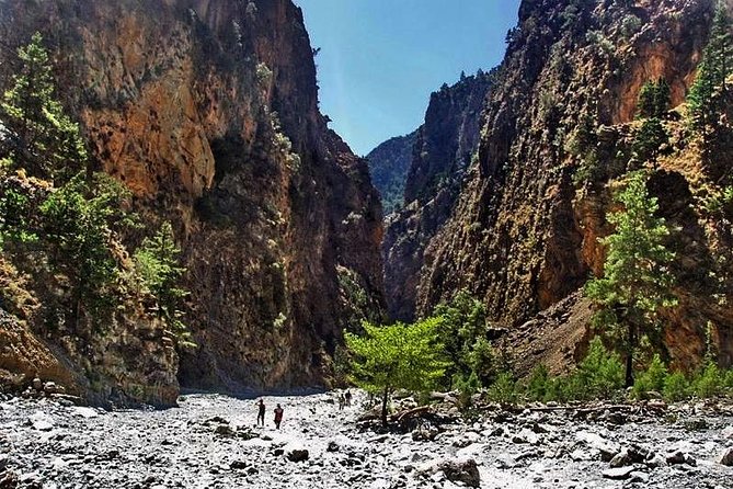 Samaria Gorge Trek: Full-Day Excursion from Chania with Guide - The hike itself: 5 to 6 hours through gorge walls and old forest