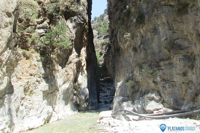 Samaria Gorge Trek: Full-Day Excursion from Rethymno with Guide - Sfakia and the ferry back: the timing that keeps you on schedule