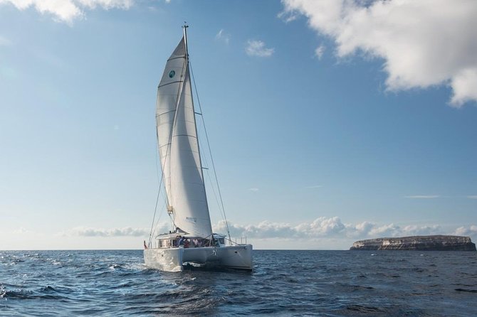 Santorini Caldera Sailing Tour with BBQ Lunch and Drinks - Price and Value for a 5-Hour Caldera Sail