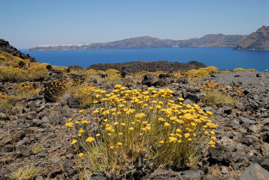 Santorini Caldera: Sunset Cruise with Dinner - The Return Route Under Oia, Plus Your Sunset Finish
