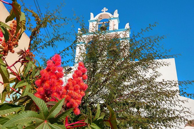 Santorini Day Tour with Sunset in Oia - Oia Free Time and Sunset: How to Enjoy It Without Getting Stuck