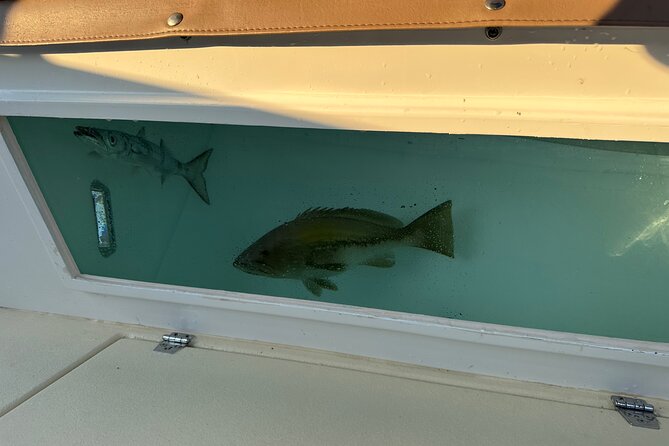 Santorini Fishing Private Cruise boat tour - BBQ, Snorkeling - Comfort and practical details that make or break a boat day