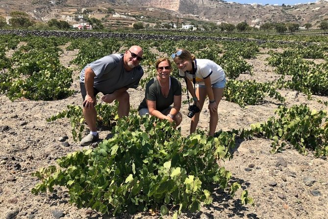 Santorini Highlights: 5-Hour Private Tour with Wine-Tasting - Volcanic Winery Tasting, Up to Four Glasses, and the Assyrtiko Story
