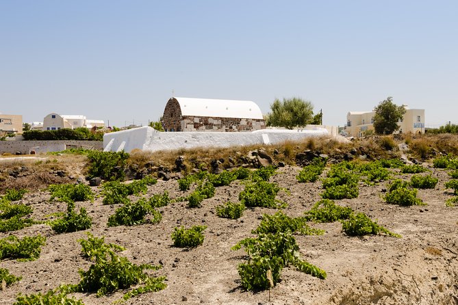 Santorini Highlights and Venetian Castles Small-Group Day Tour - Stop 3: Akrotiri castle area photo stop