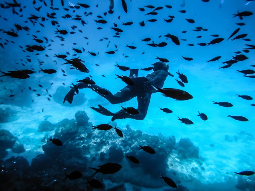 Santorini: Scuba Diving Experience for Beginners - Quick take: what makes this Santorini beginners session work