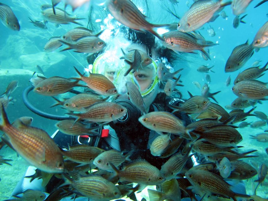Santorini: Scuba Diving Experience for Beginners - How the 4-hour schedule really feels in real life
