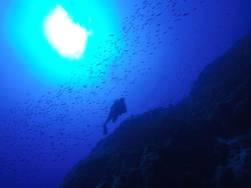 Santorini: Scuba Diving Experience for Beginners - Should you book this beginners scuba session near Armeni?