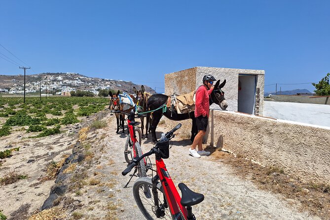 Santorini Small Group Guided E-bike Tour & Local Tomato Museum - Stop 1 at the Tomato Industrial Museum in Vlychada