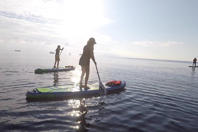 Santorini Stand-Up Paddle and Snorkel Adventure - Paddling Santorini’s Coast: Cliffs, Wind, and Big-View Water