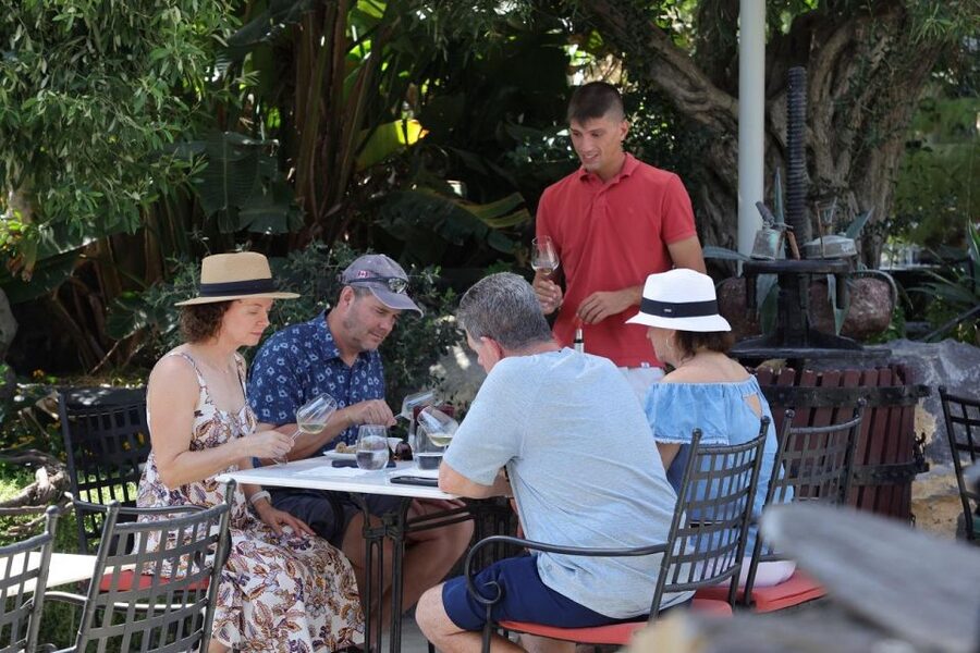 Santorini: Tour of Wineries with Wine Tasting & Food - Volcanic Wine, the Short Version of the Why