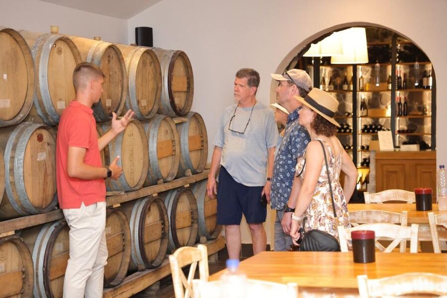 Santorini: Tour of Wineries with Wine Tasting & Food - Who This Tour Fits Best (and Who Might Want Another Plan)