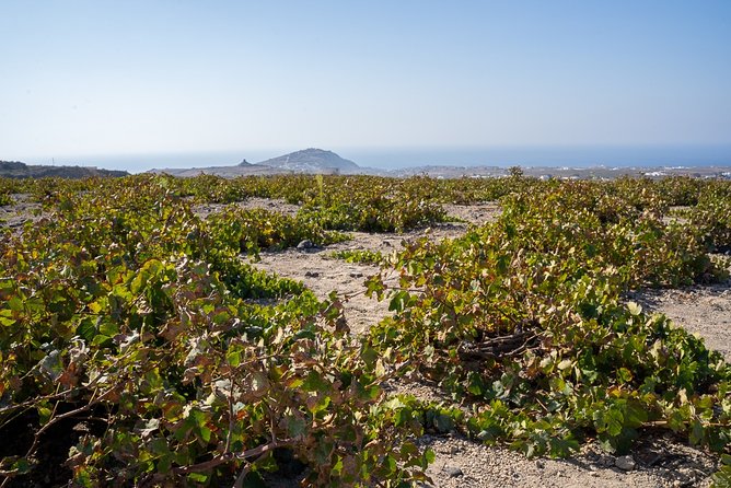 Santorini Wine Roads Tour with Wine Tastings Morning & Sunset - Key highlights I’d circle on your Santorini plan