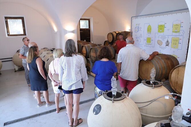 Santorini Wine Stories: Daytime Tour with Tasting & Lunch - Getting the most from your guide, from Constantine to Nicholas
