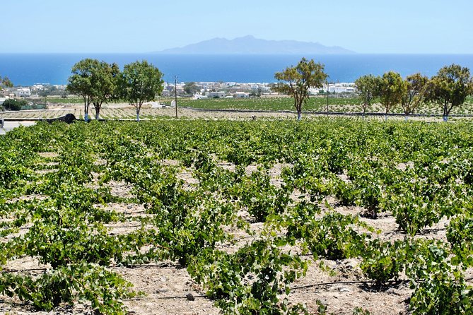 Santorini: Wine Tour with Sunset in Oia - What to wear and bring for this 5-hour wine and sunset mix