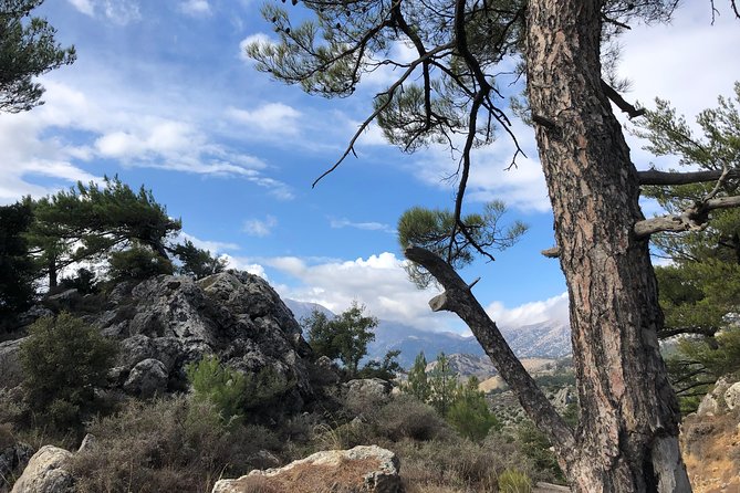 Sarakina Gorge, Kritza, Oliveoil Tasting, Mountains, South Coast - The Mountain Forest Ride: Where the Views Feel Like a Movie